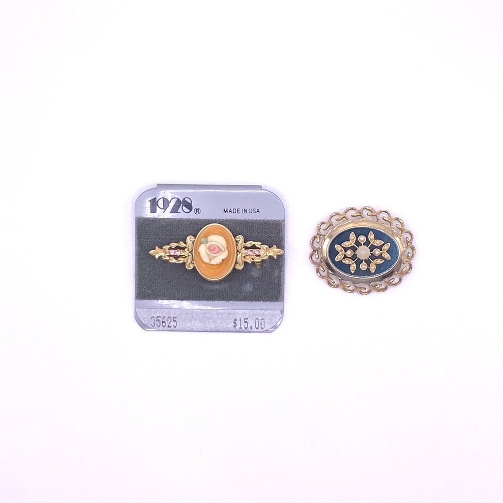 Set of Two Vintage Cameo Style Pins!